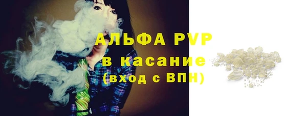СК Аркадак