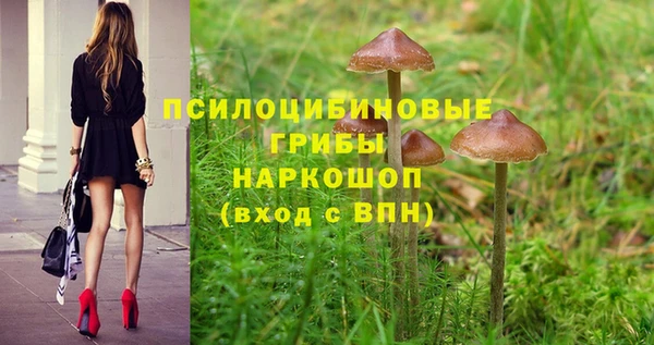 спайс Армянск