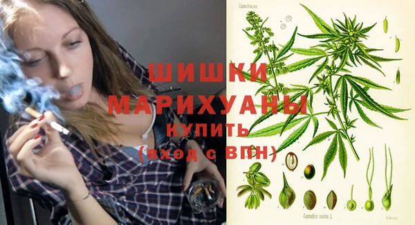 прущий лед Нея