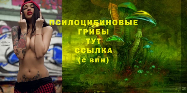 мескалин Арсеньев