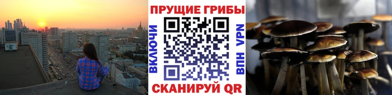 нарко площадка формула Минеральные Воды Псилоцибиновые грибы ЛСД